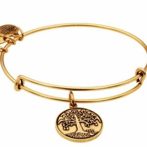Alex and Ani tree of life bracelet 🌳
